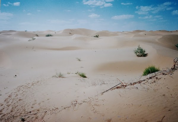prairie 3