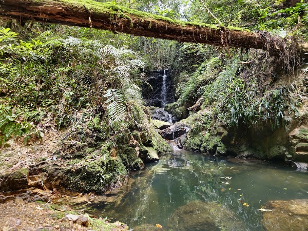 Ioki Cave 4