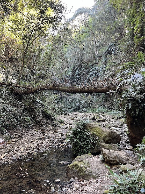 Ioki Cave 2