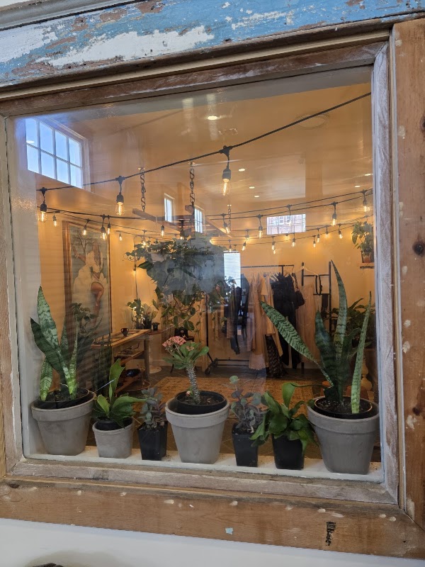 Roots Plants + Coffee - NOLA