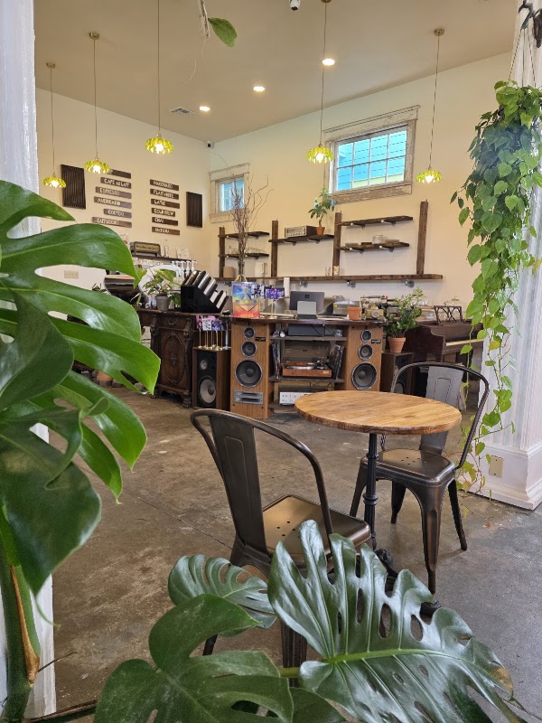 Roots Plants + Coffee - NOLA 2