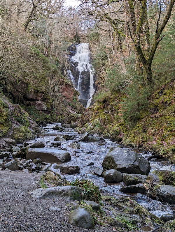 Queen Elizabeth Forest Park
