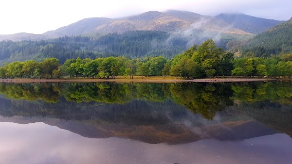 Queen Elizabeth Forest Park 3