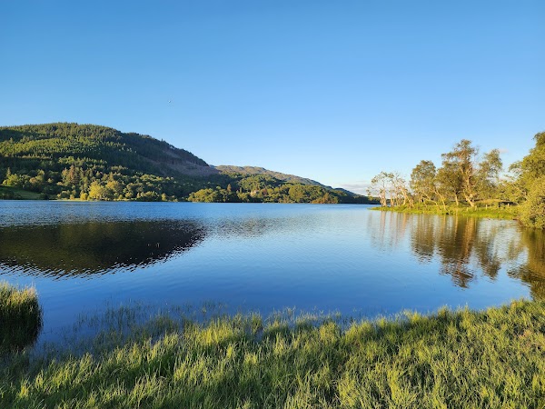 Queen Elizabeth Forest Park 2