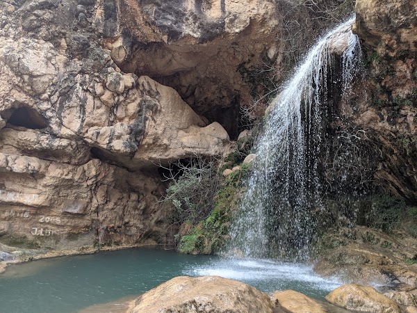 Cueva las Palomas