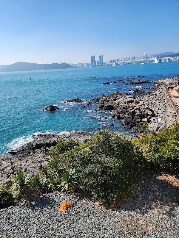 Busan 19