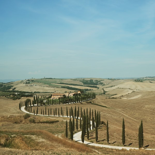 Crete senesi Asciano