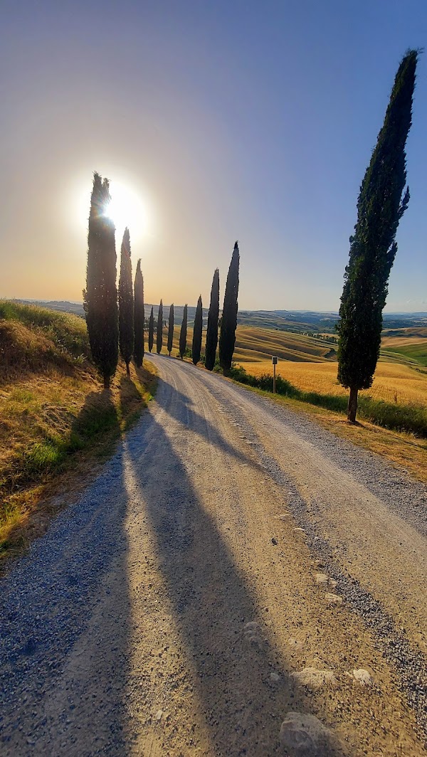 Crete senesi Asciano 2