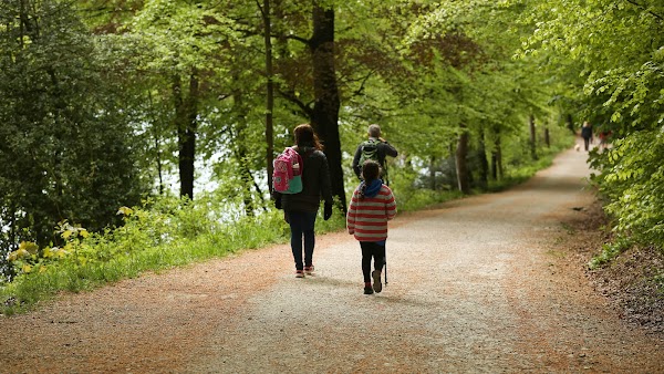 Ingleborough Estate Nature Trail
