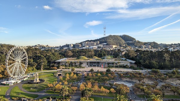 de Young Museum 3