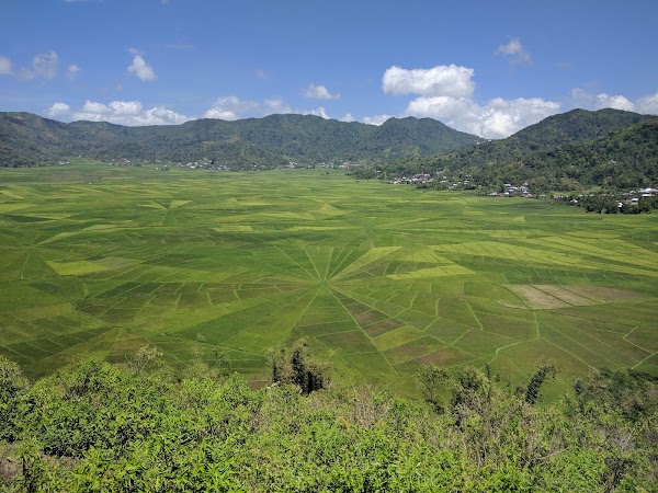 Lingko Spider Web Rice Fields [LSW] 1