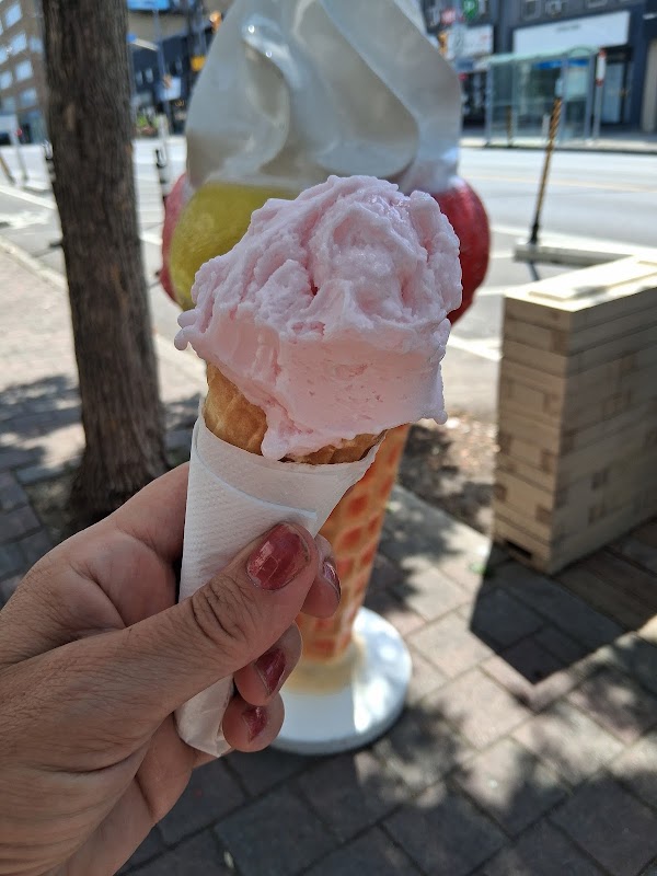 Hotel Gelato 3