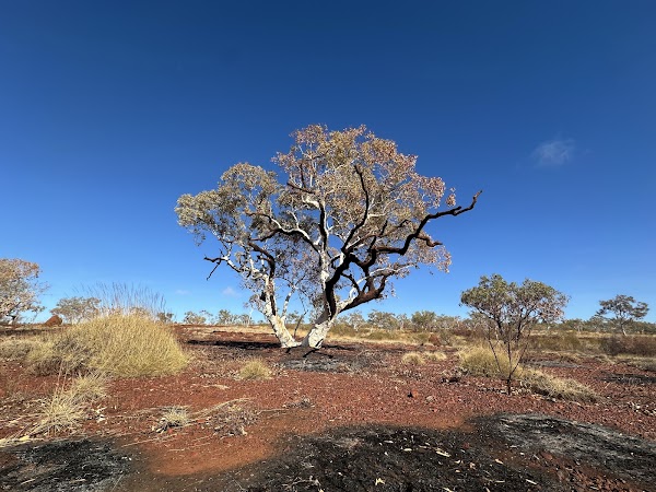Karijini National Park 3