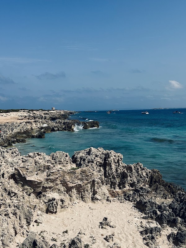 Platja de ses Salines 2
