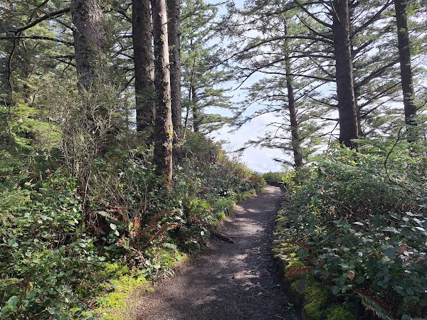 Cape Perpetua Scenic Area 5