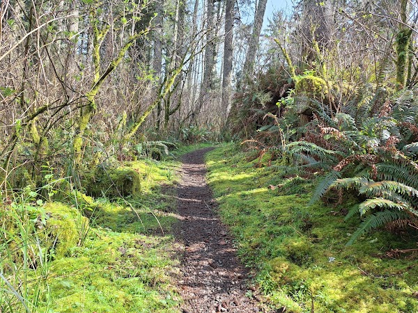 Cape Perpetua Scenic Area 2