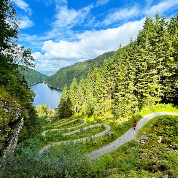 Norge 56