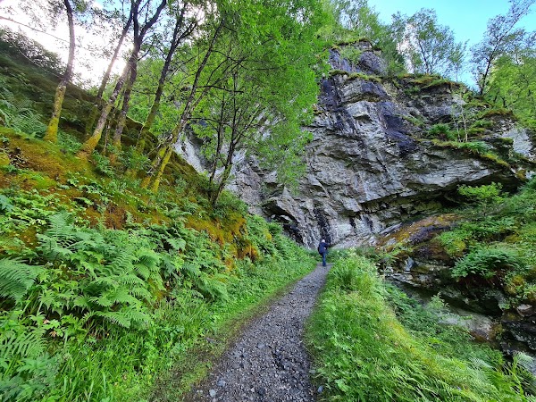 Kossdalssvingane 5