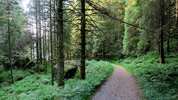 Kossdalssvingane 4