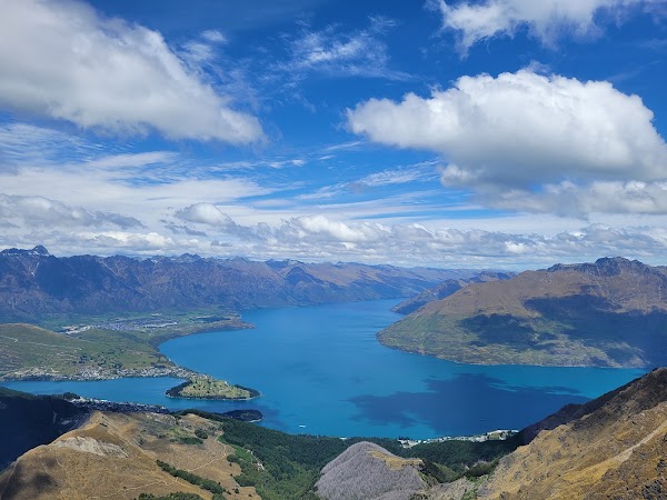 Nz 54