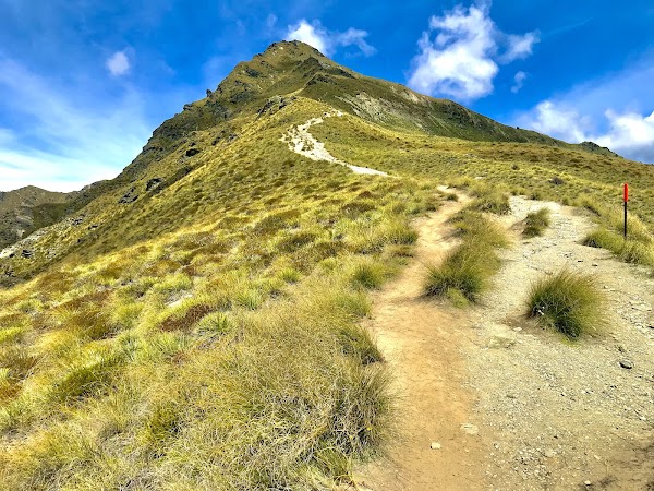 Ben Lomond 4