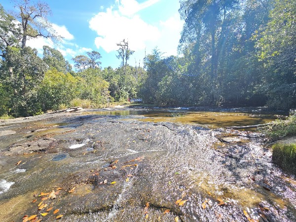 Phu Chong Na Yoi National Park 2