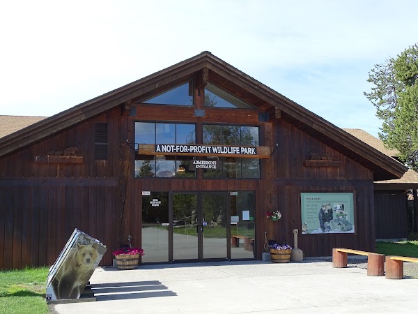 Grizzly & Wolf Discovery Center 4