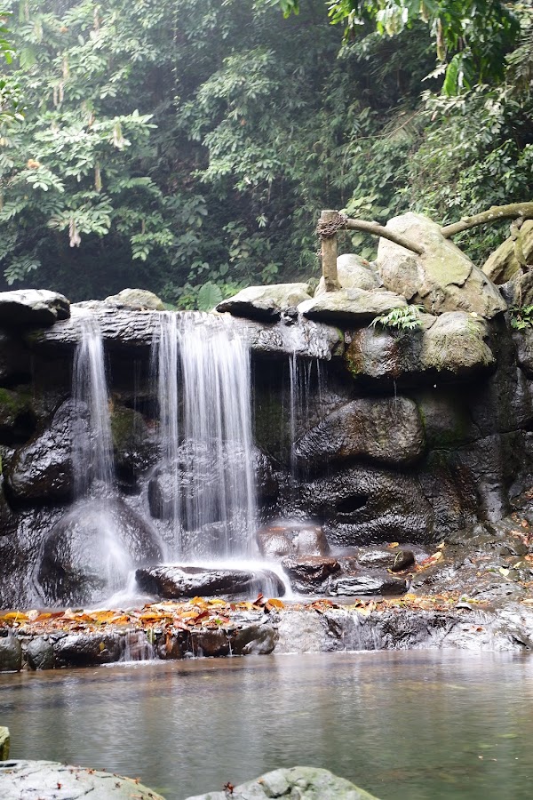 Thiên Sơn Suối Ngà 4