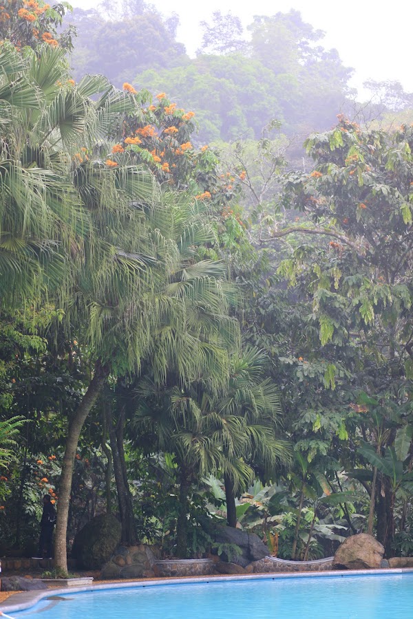 Thiên Sơn Suối Ngà 3