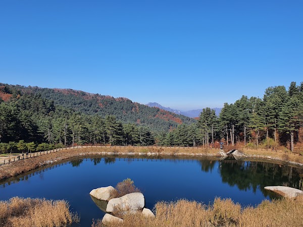 Jathyanggi Pureunsup Arboretum 4
