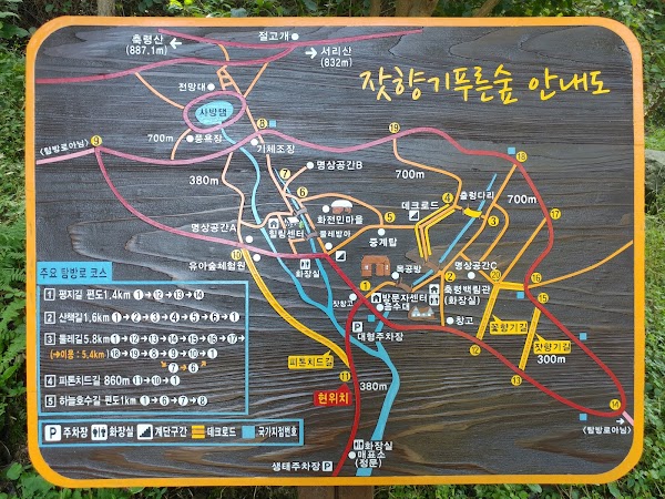 Jathyanggi Pureunsup Arboretum 3