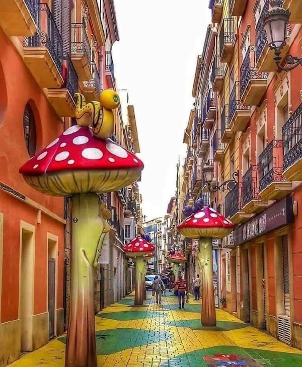 El Carrer dels Bolets