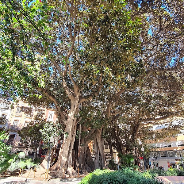 El Carrer dels Bolets 3