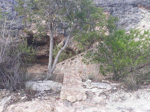 1000 Steps (16) 4