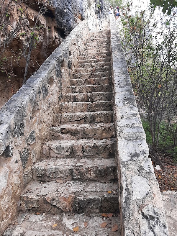 1000 Steps (16) 3