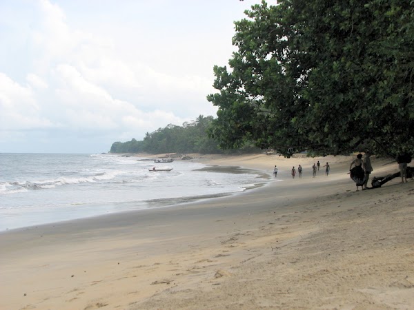 Cameroon 5