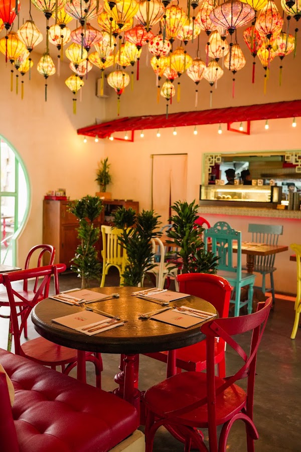 Chow Chow Bali