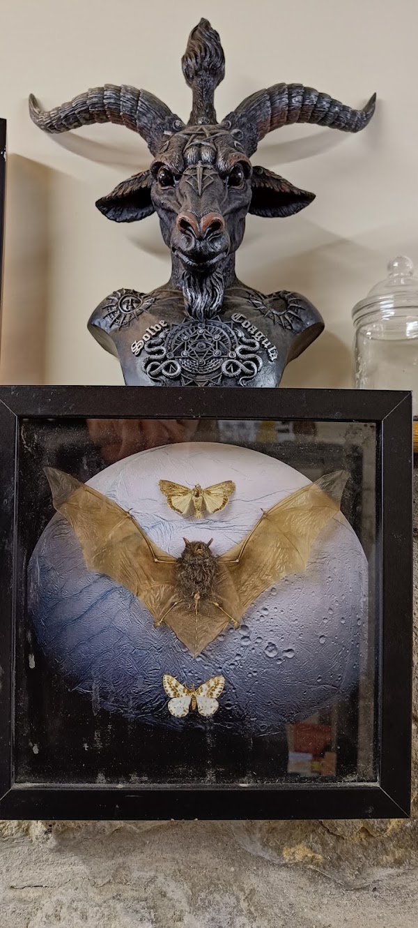 Museum of Magic, Fortune-telling & Witchcraft Ltd 2
