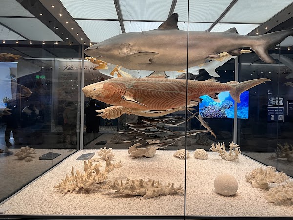 Tianjin Ecology City Ocean Museum