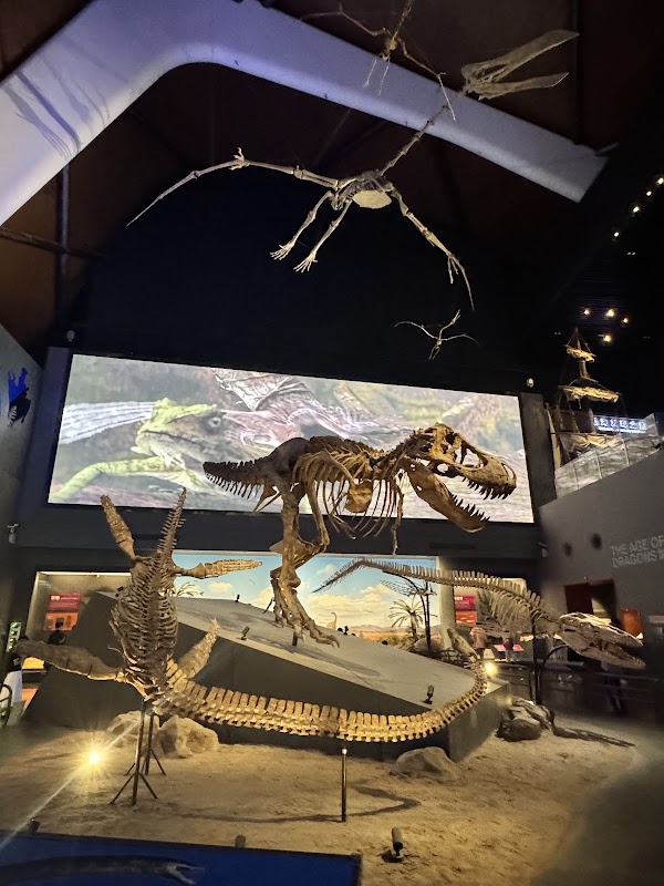 Tianjin Ecology City Ocean Museum 5