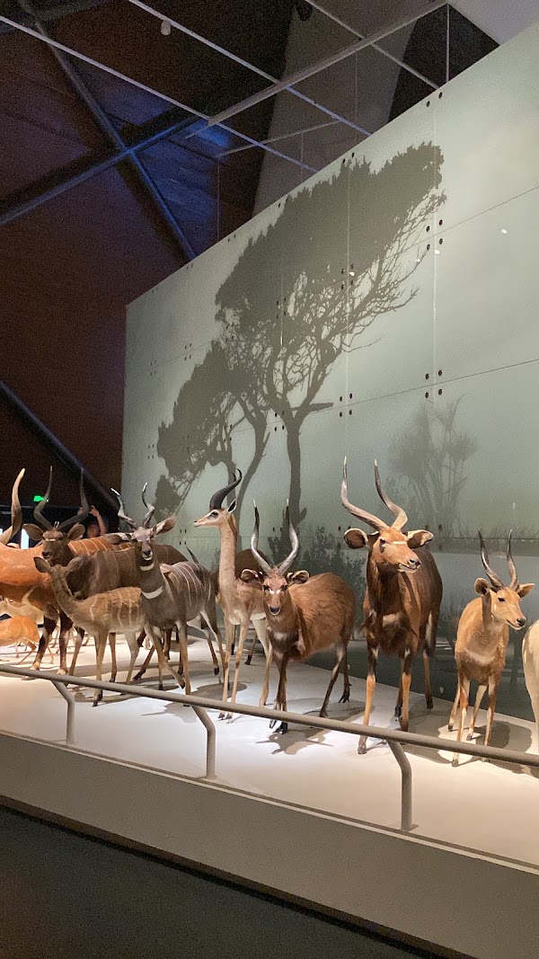 Tianjin Ecology City Ocean Museum 3