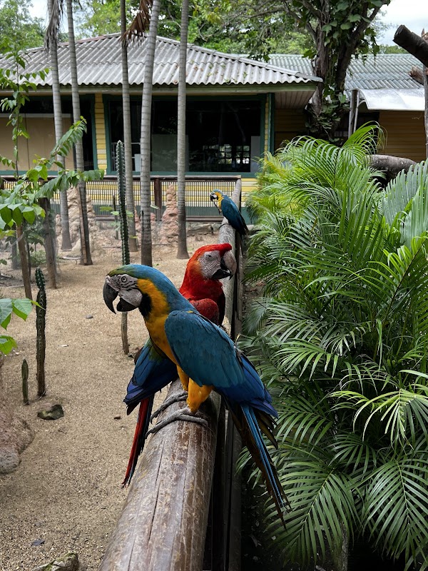 Port Oasis Eco Park 1