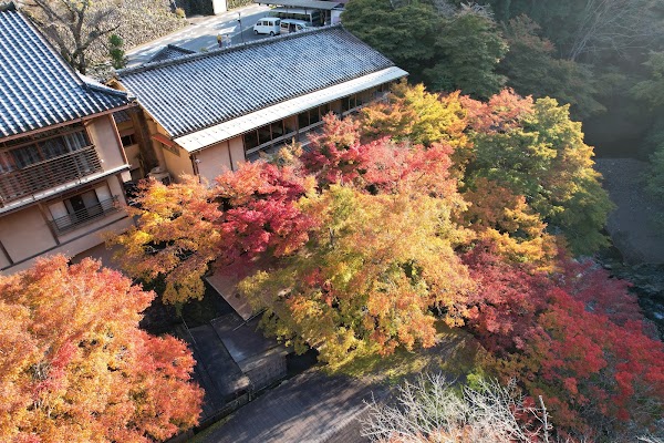 Kyoto2