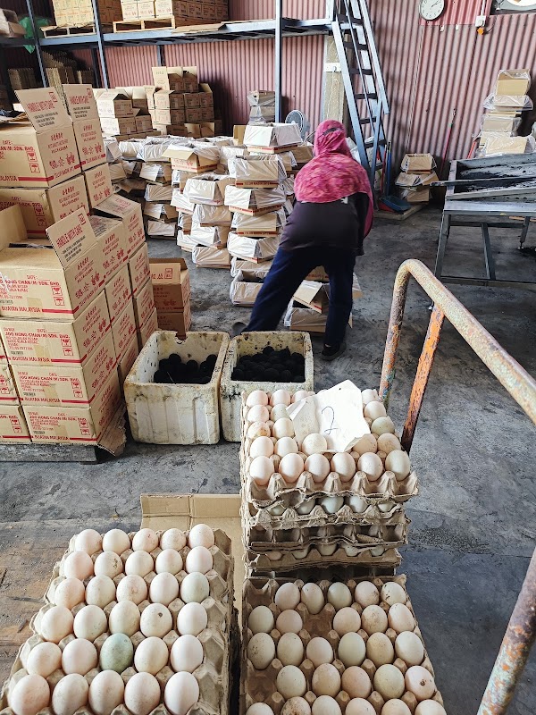 Joo Hong Chan (Telur Masin) 3