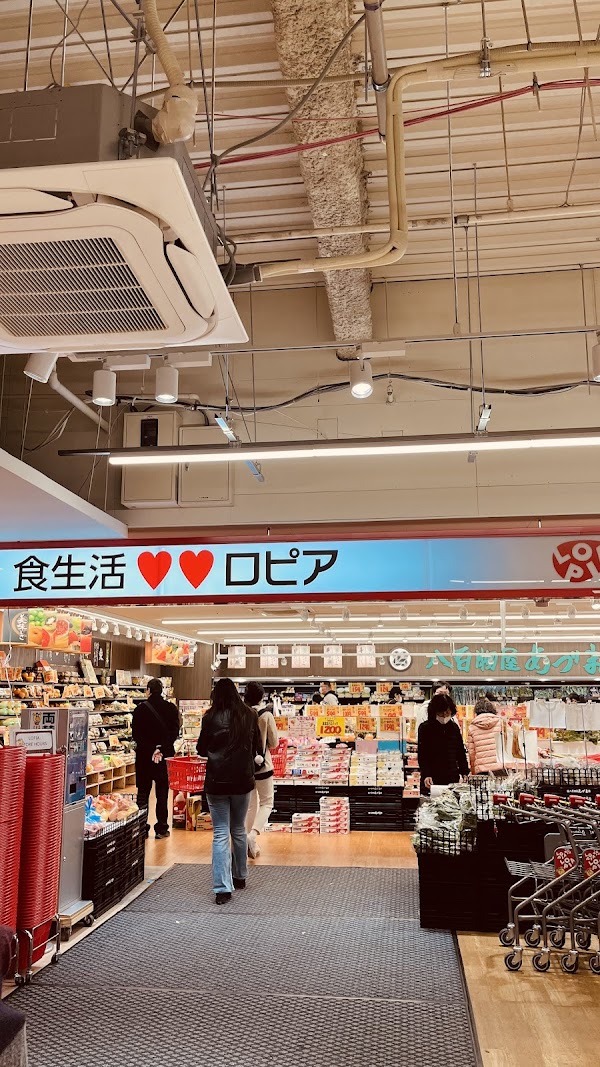 Japan 37