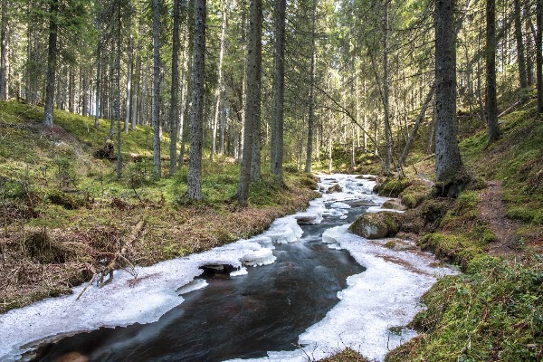 Katikankanjoni - Kauhaneva-Pohjankangas national park 1