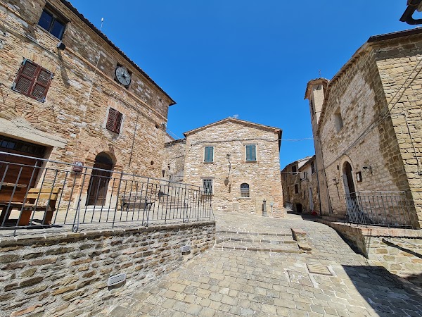 Avacelli