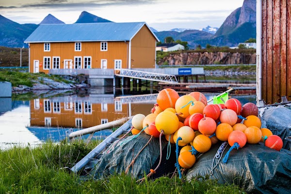 Norge 15