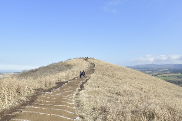 새별오름 4