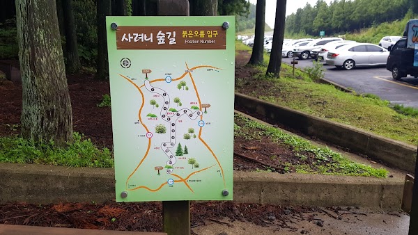 Saryeoni Forest Path Red Ascension Entrance 1